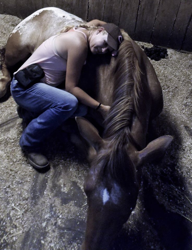 Equine Massage Therapy Benefits!